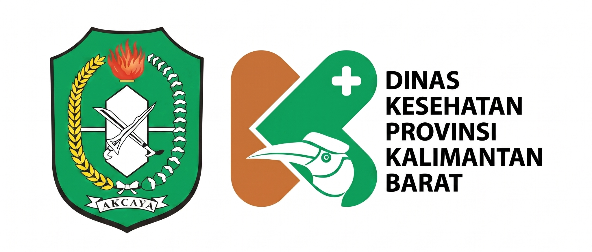 Dinas Kesehatan